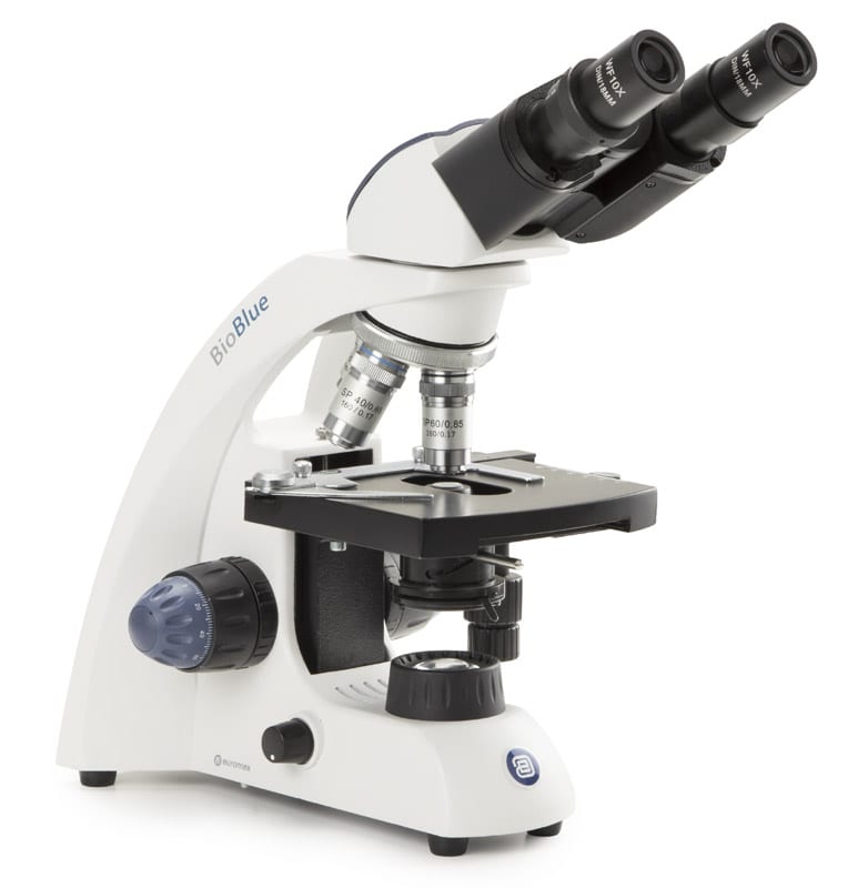 Microscope binoculaire Novex Microblue